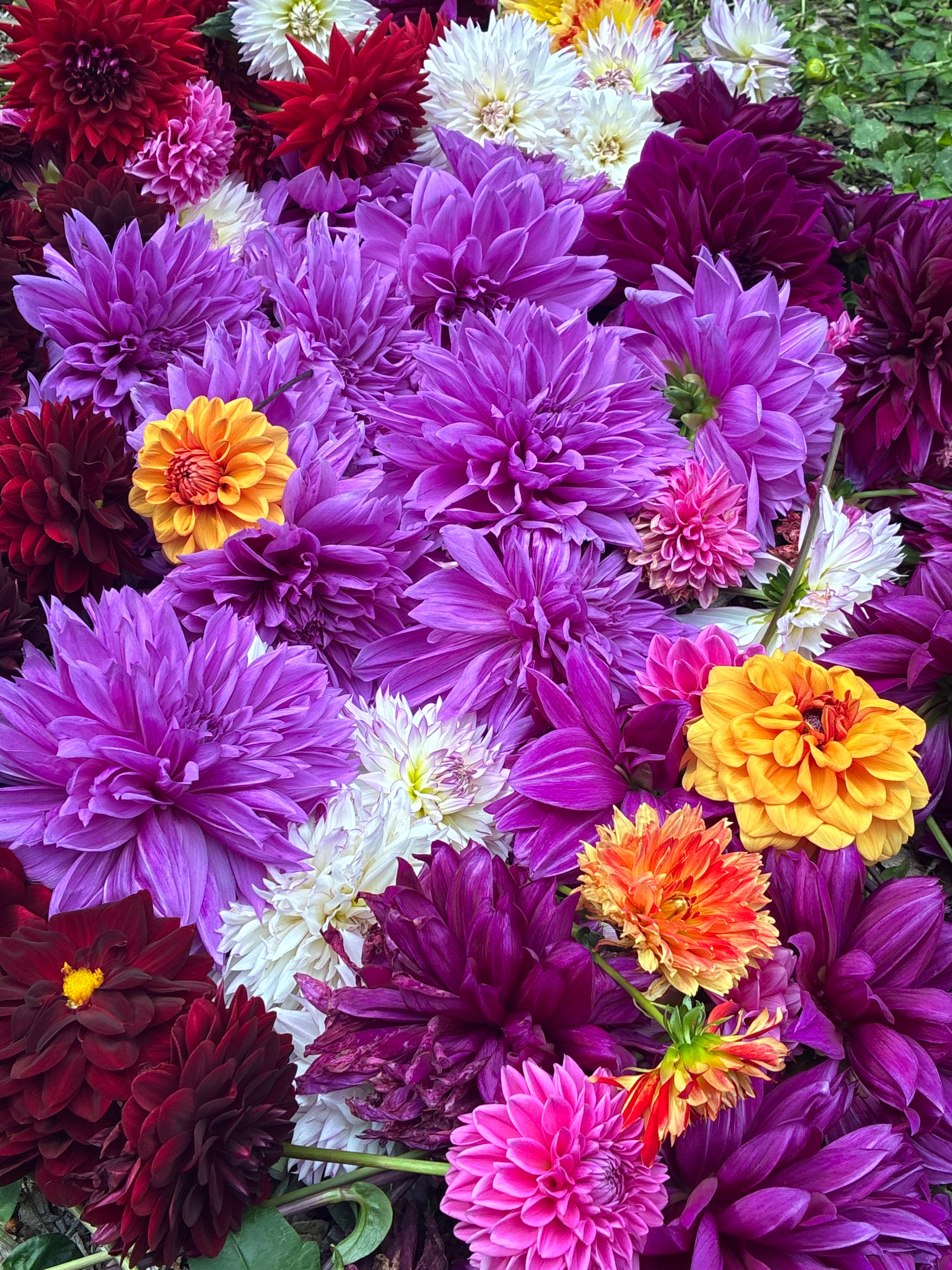 Autumn Equinox Mandala Workshop